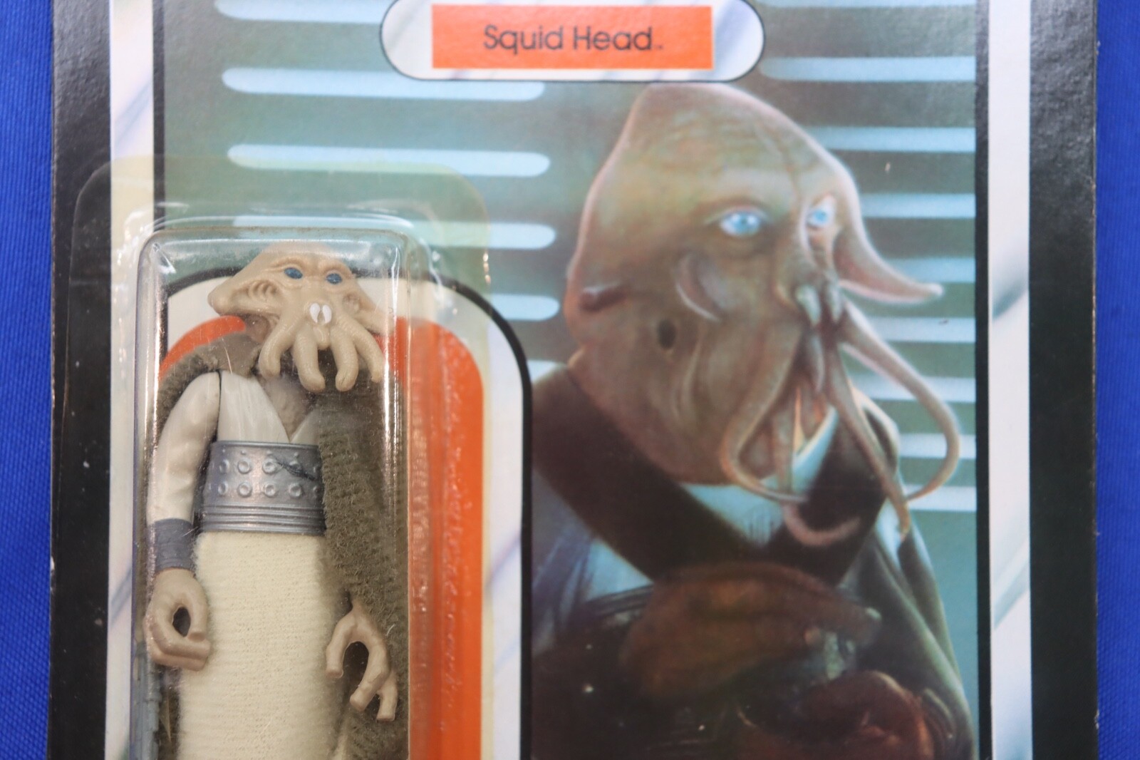 Squid Head sold