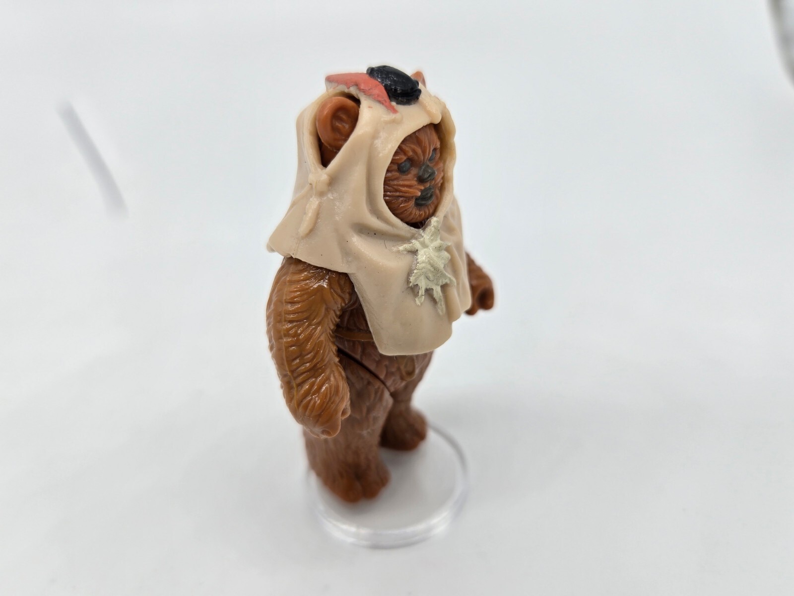 Paploo sold