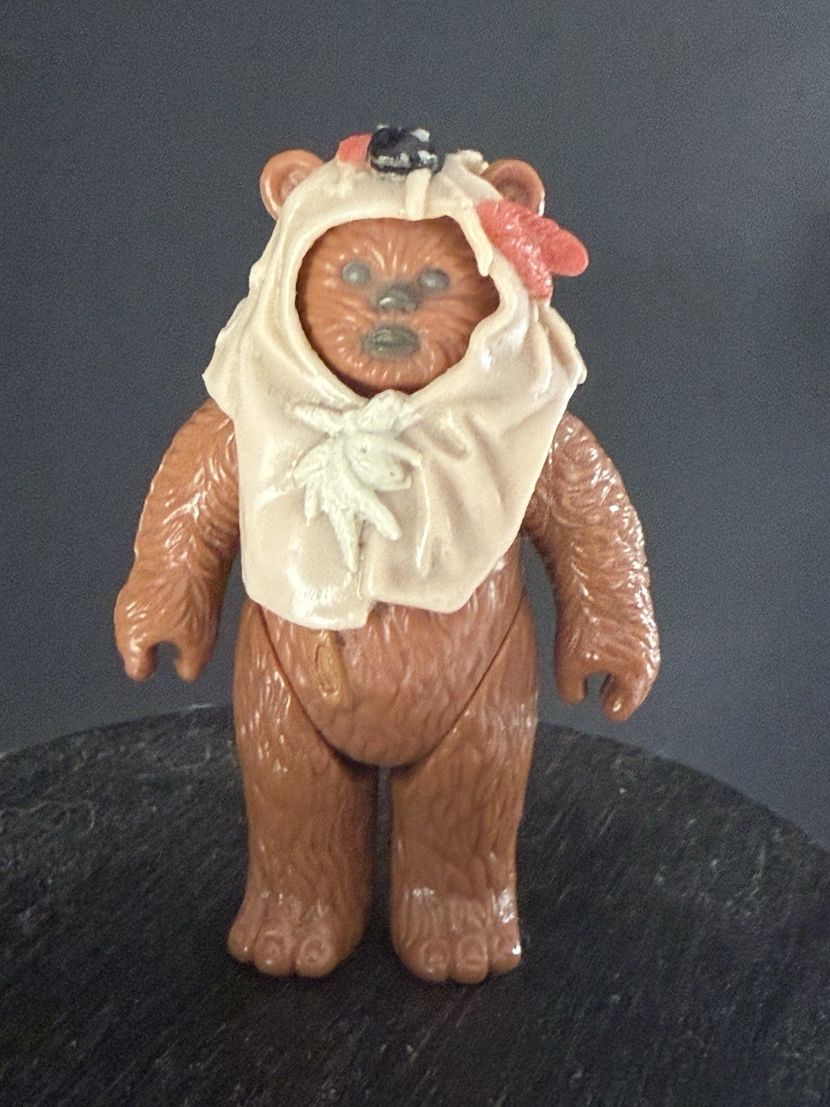 Paploo sold