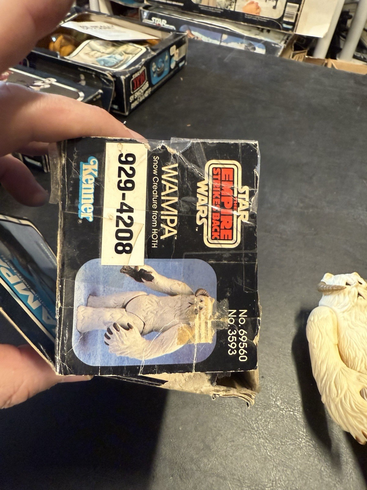 Wampa sold