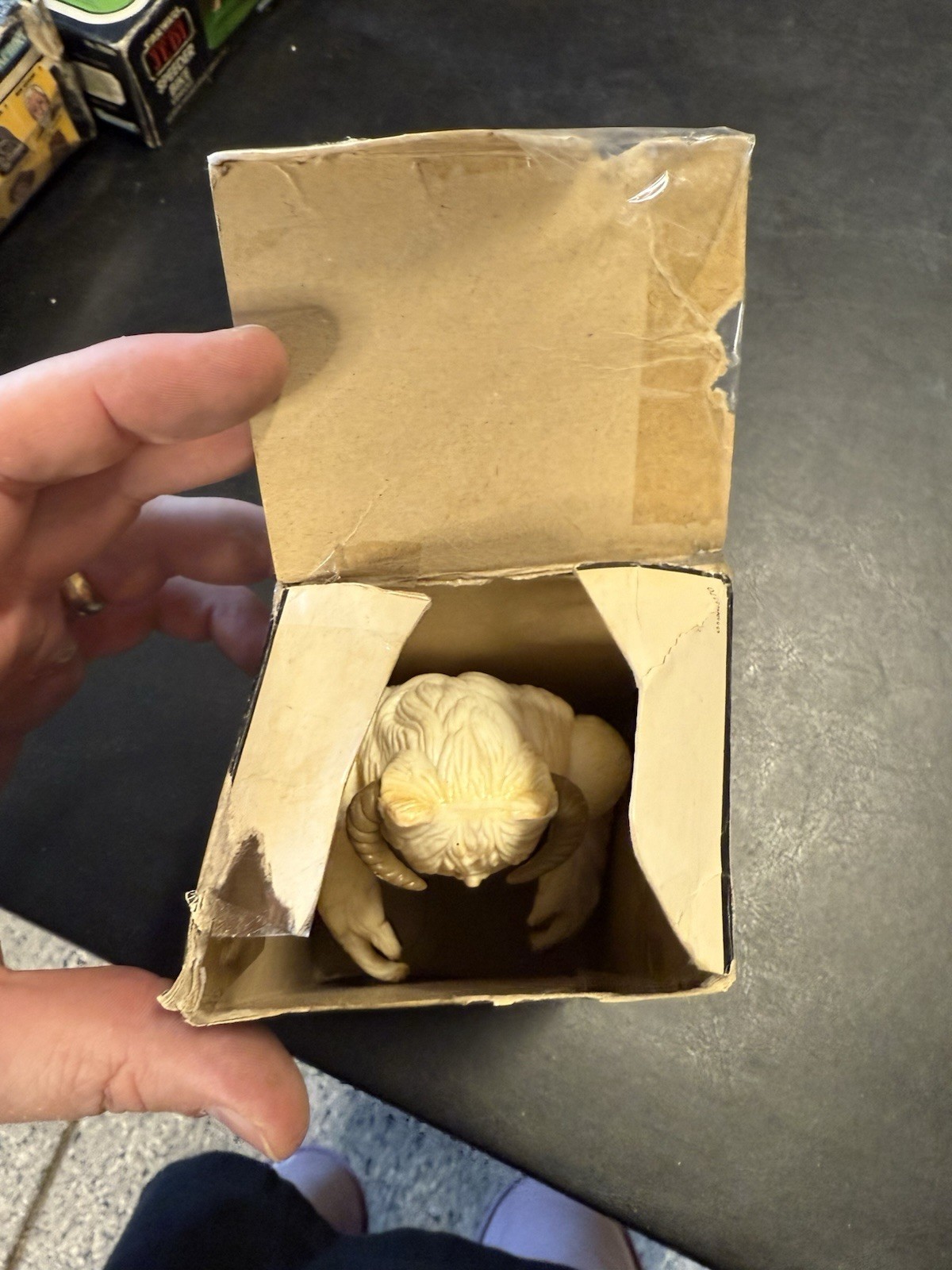Wampa sold