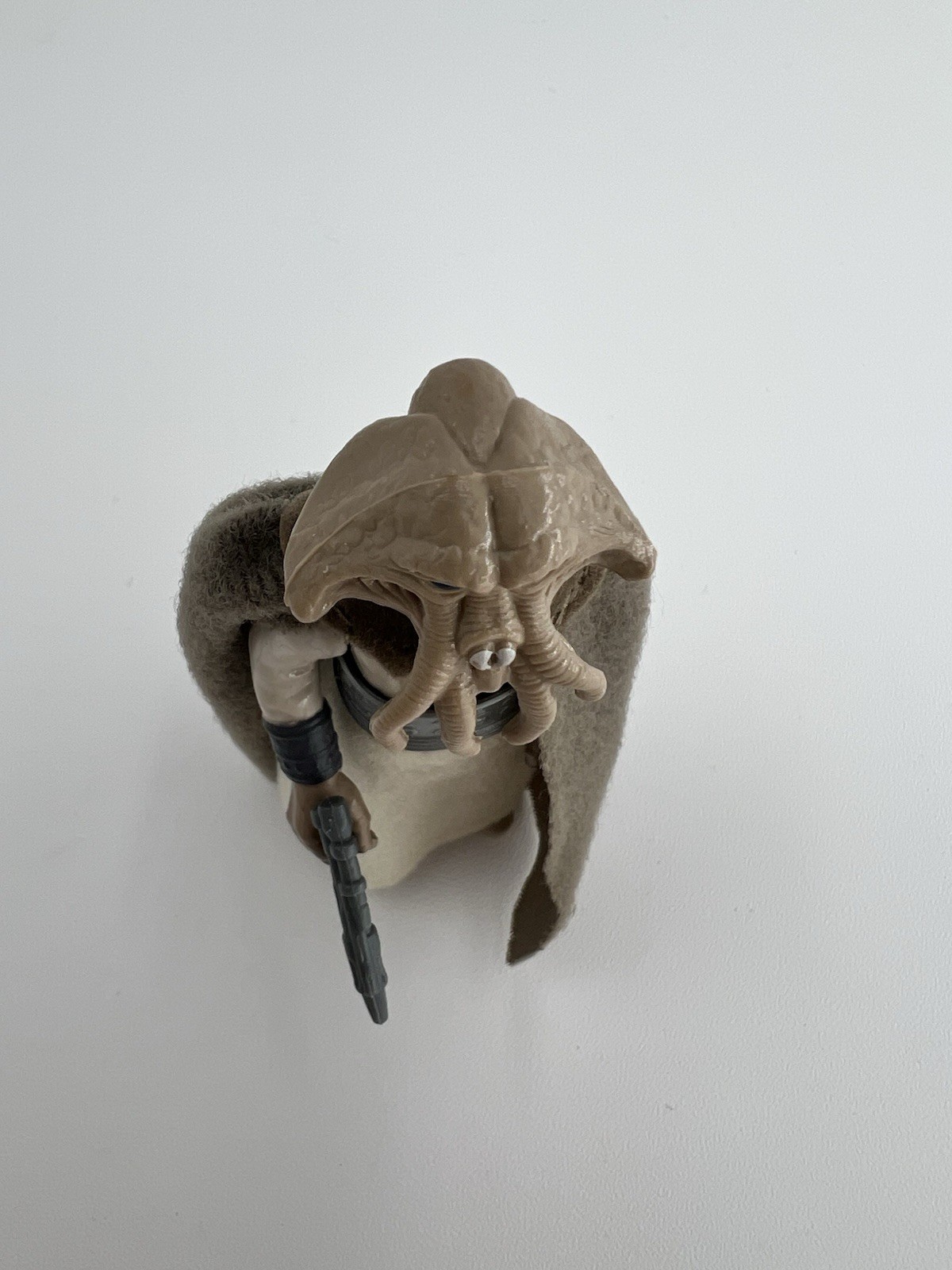 Squid Head sold