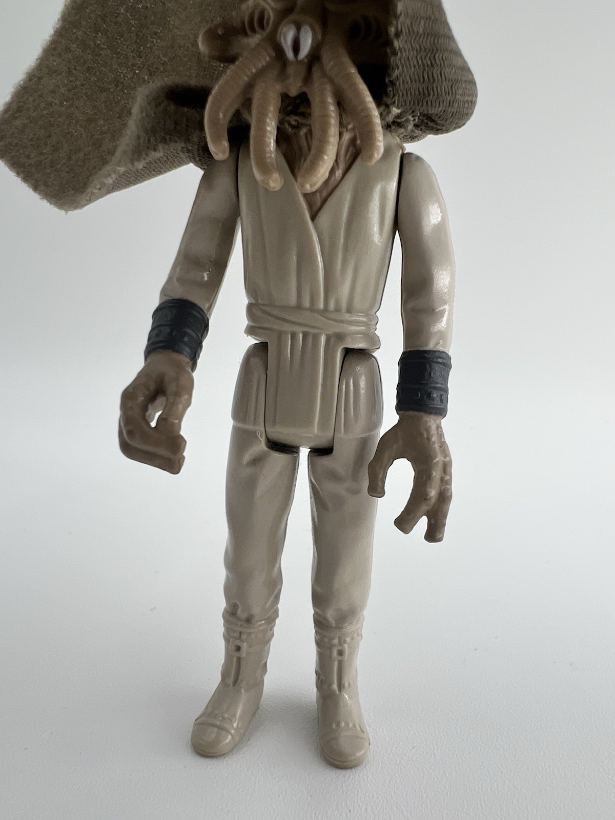 Squid Head sold