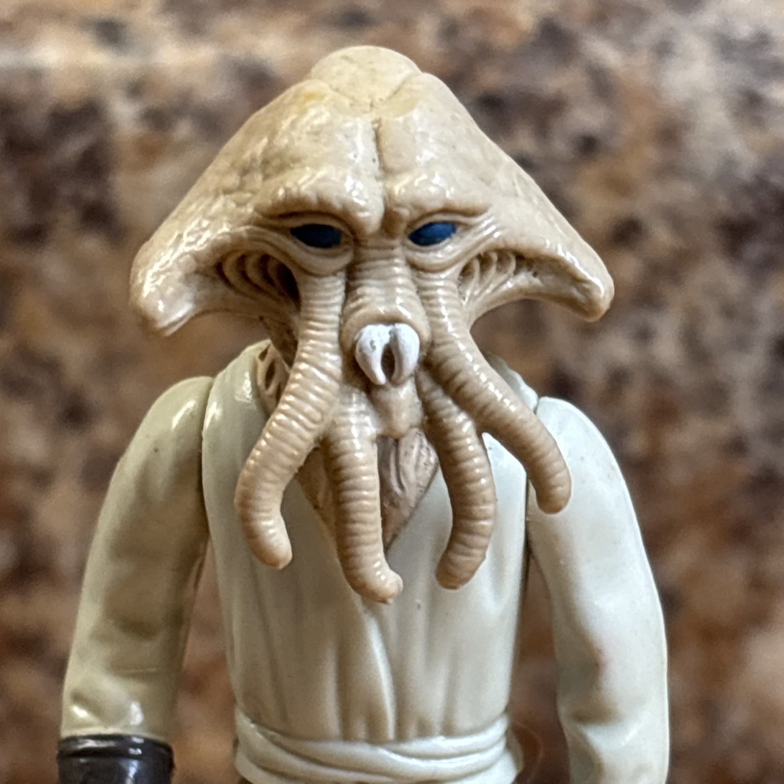 Squid Head sold