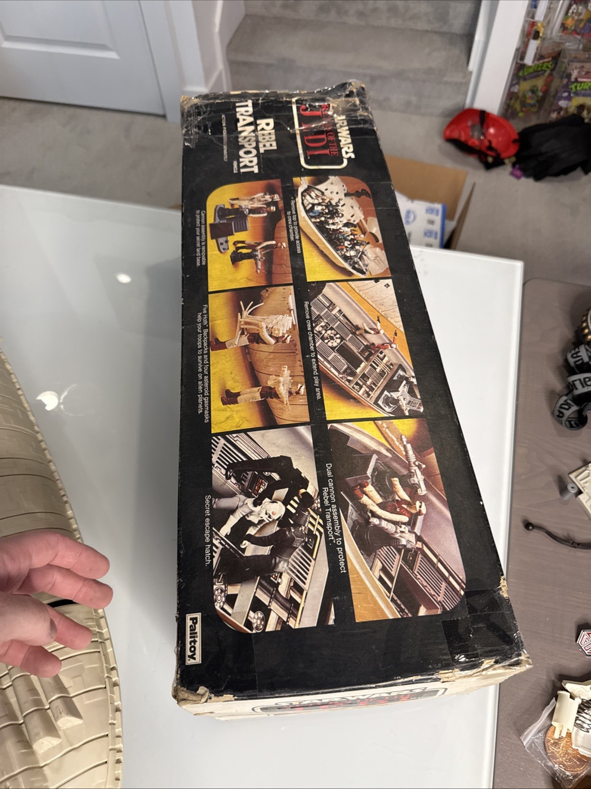 Rebel Transport sold