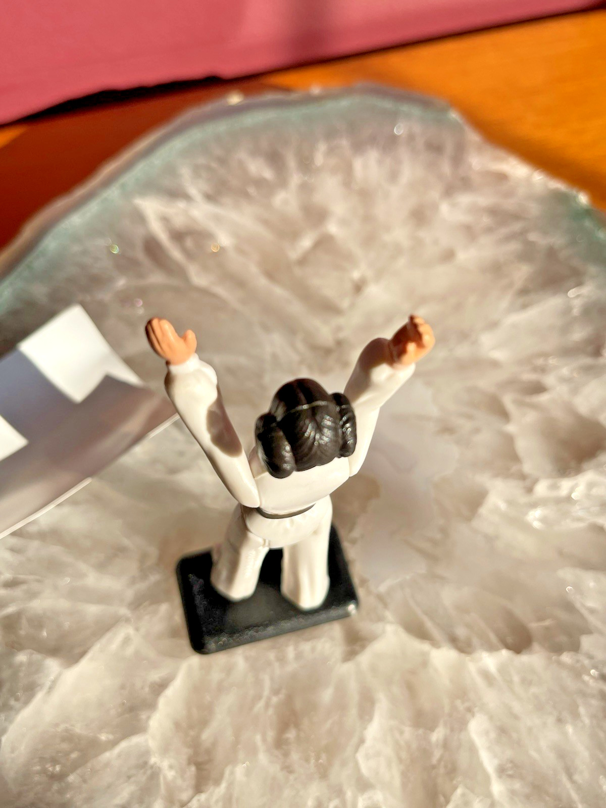Princess Leia Organa sold