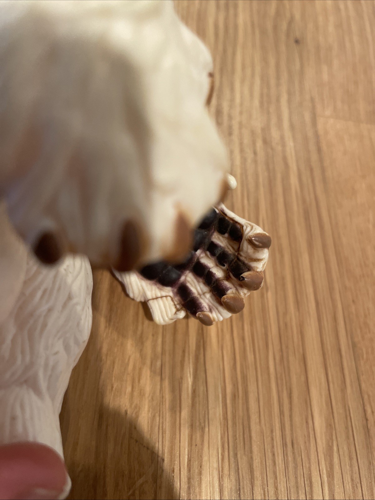 Wampa sold