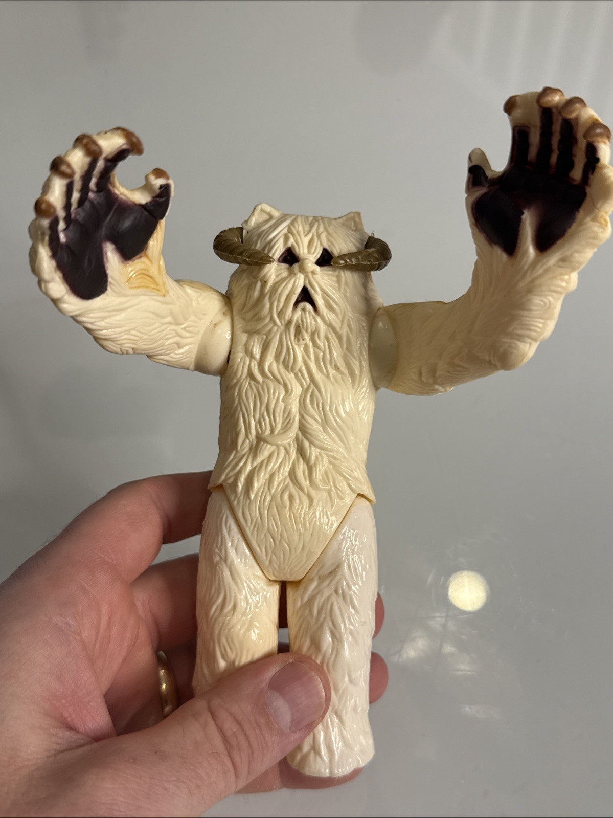 Wampa sold