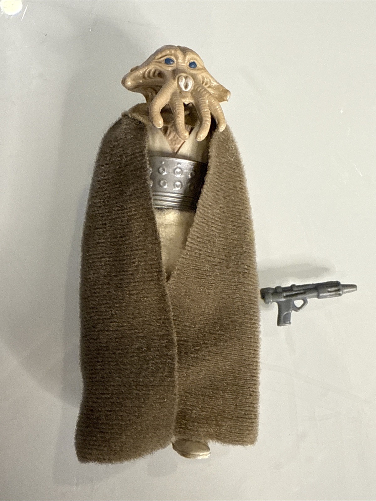 Squid Head sold