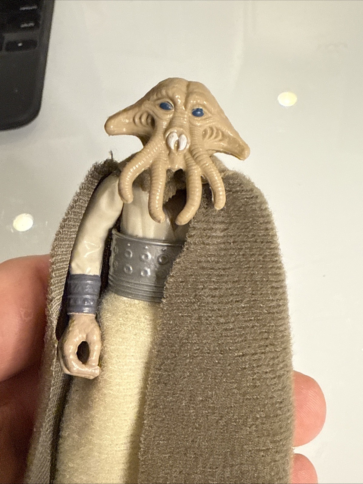 Squid Head sold