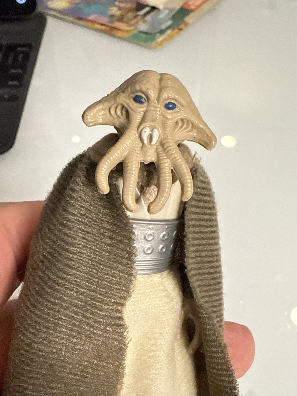 Squid Head sold