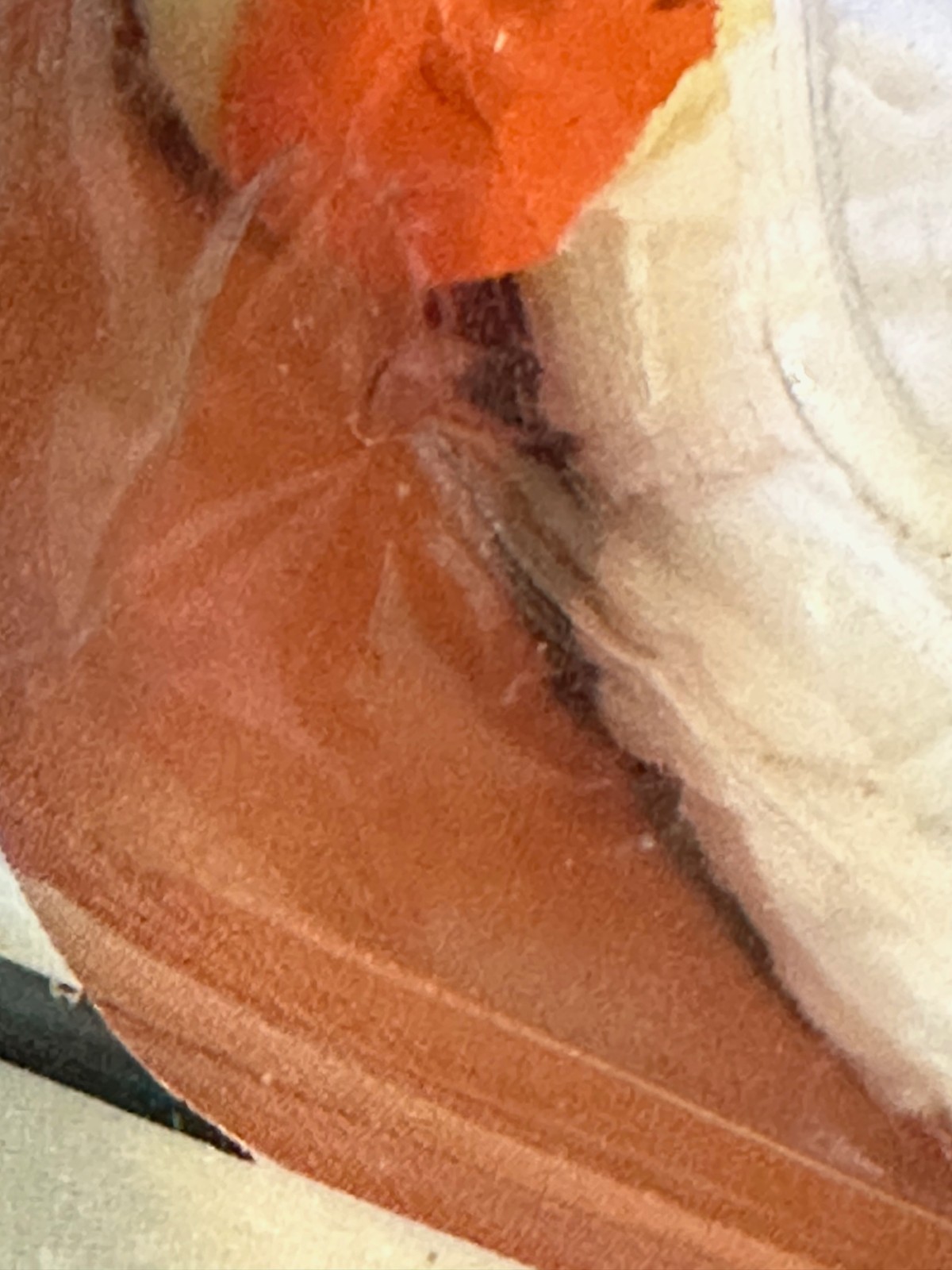 Cloud Car Pilot sold