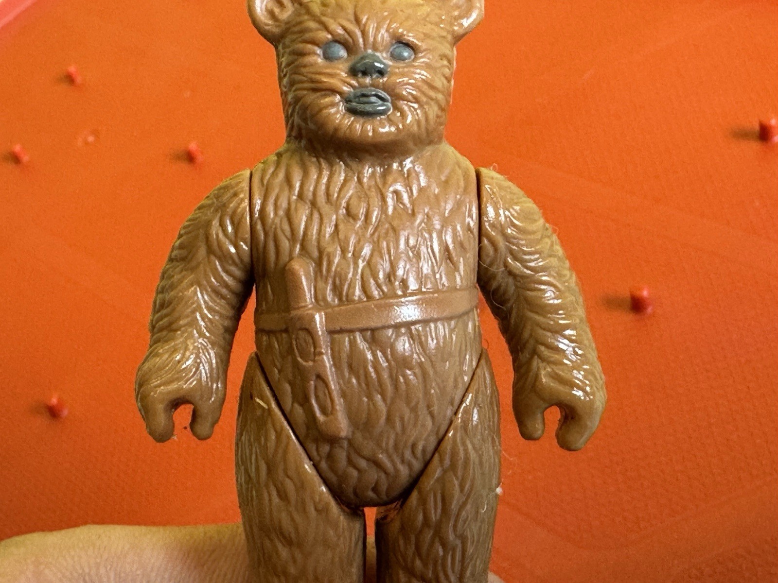 Paploo sold