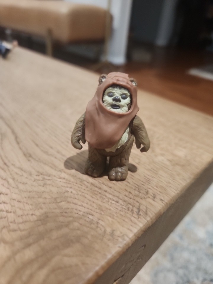 Wicket W. Warrick sold