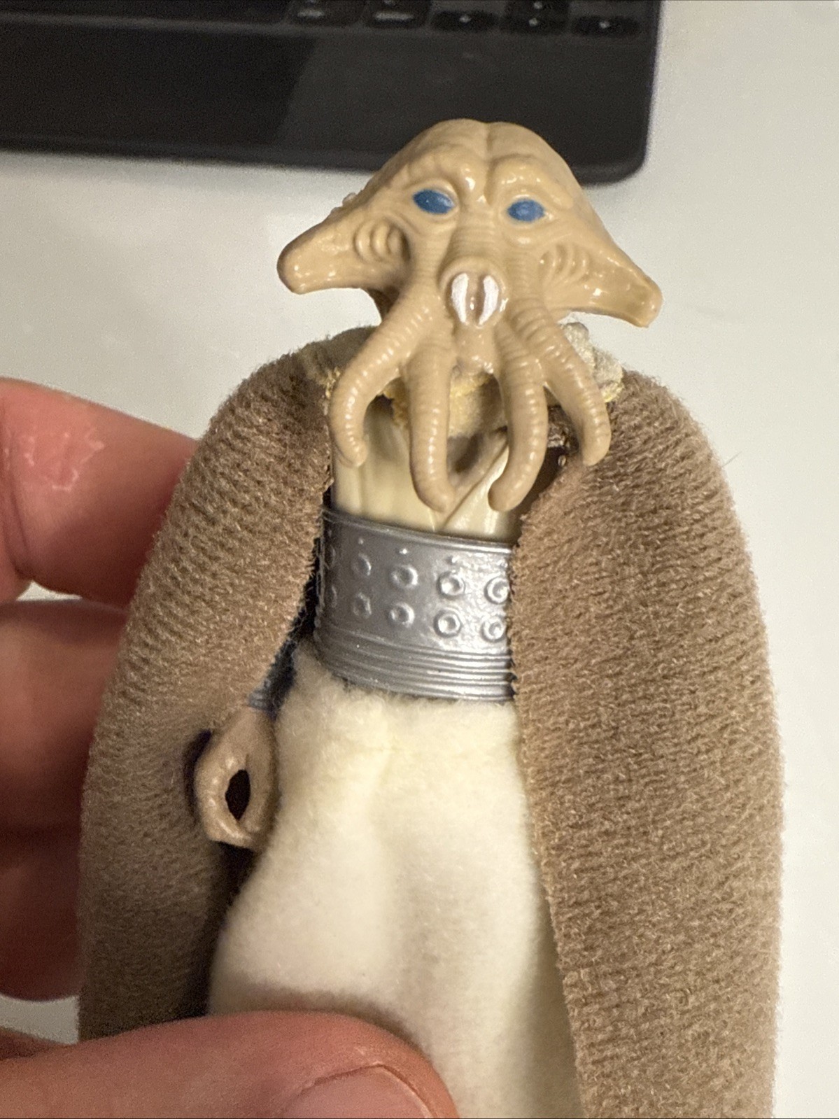 Squid Head sold