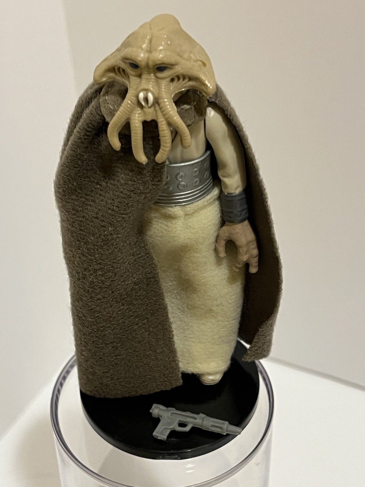 Squid Head sold