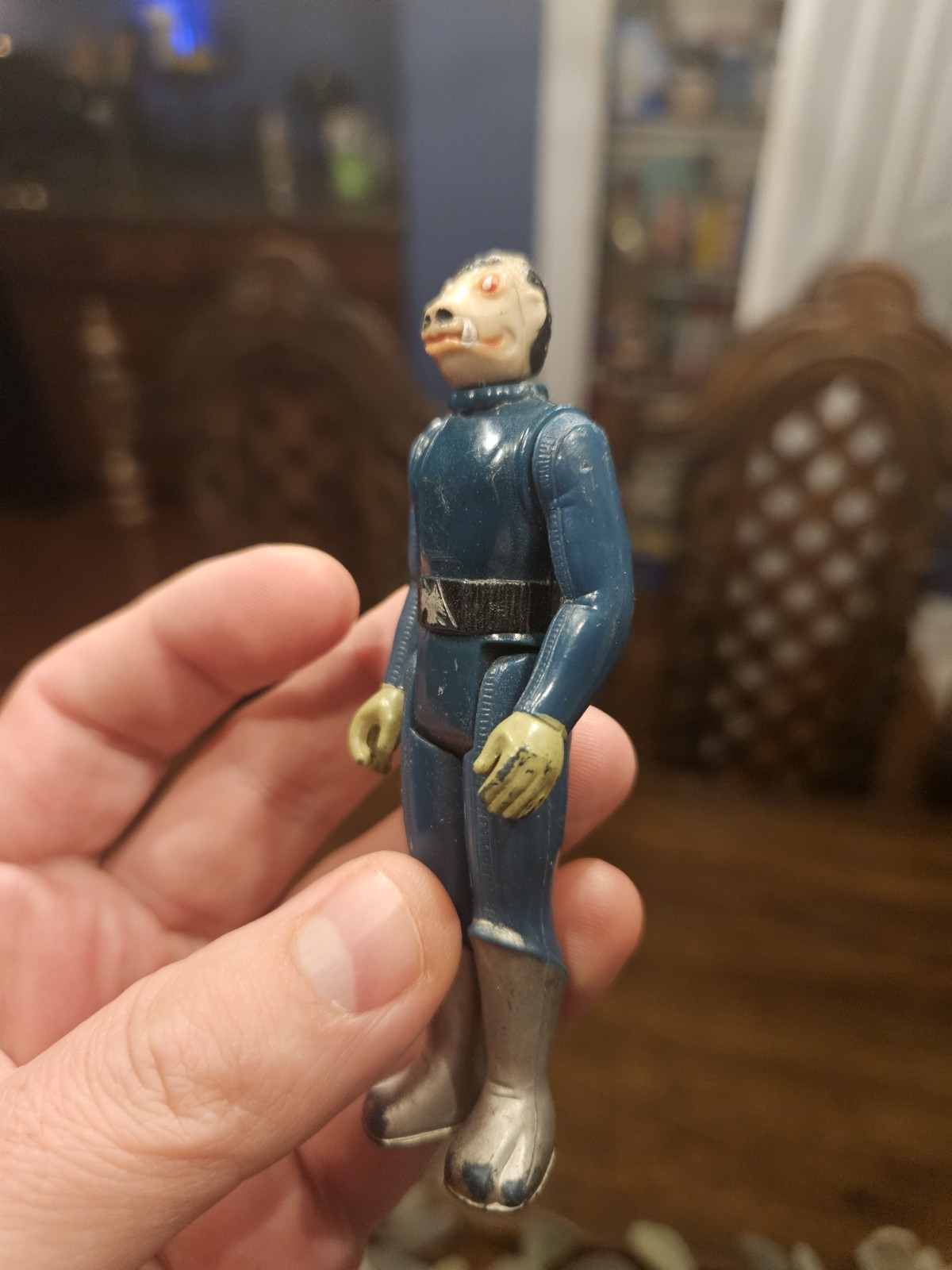 Blue Snaggletooth sold