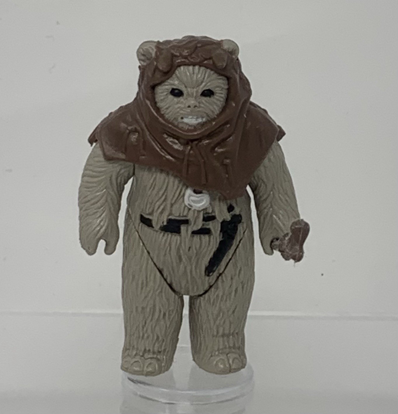 Chief Chirpa sold