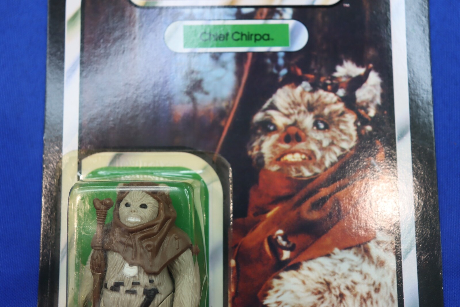 Chief Chirpa sold
