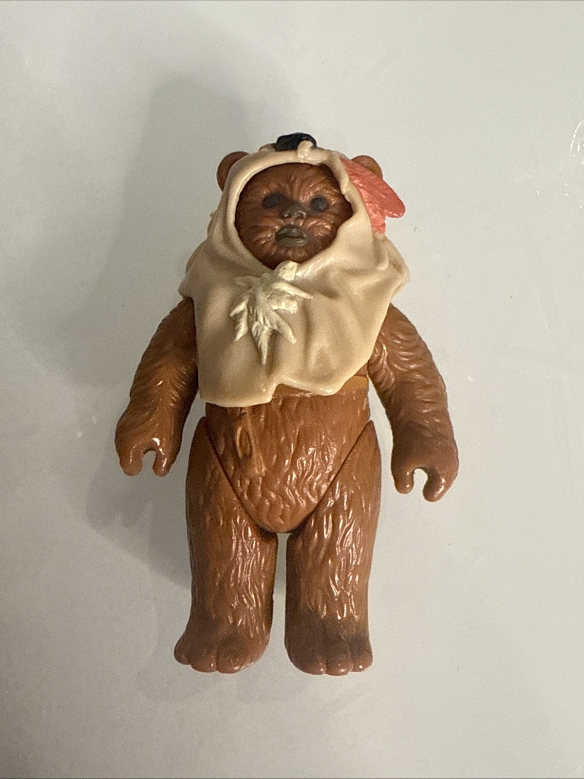 Paploo sold