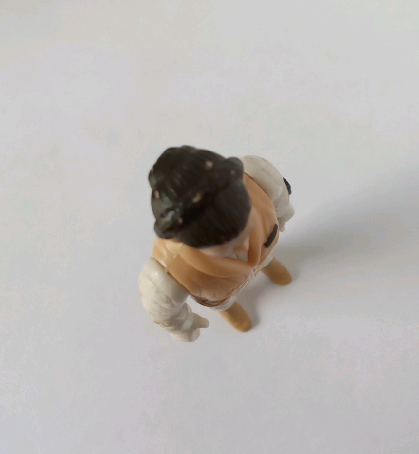 Princess Leia Organa (Hoth Outfit) sold