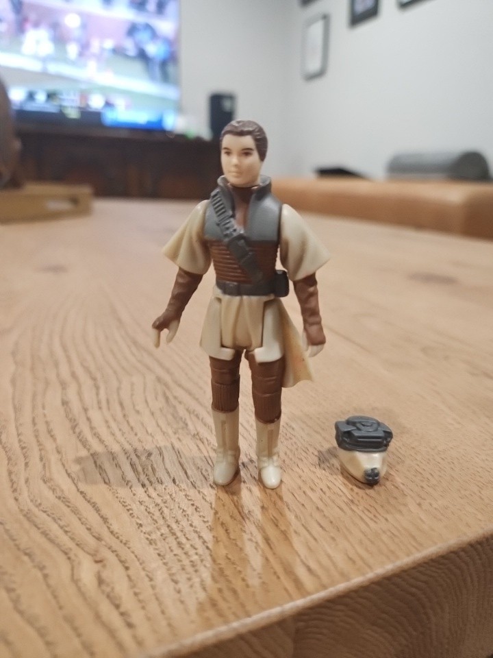 Princess Leia Organa (Boushh Disguise) sold