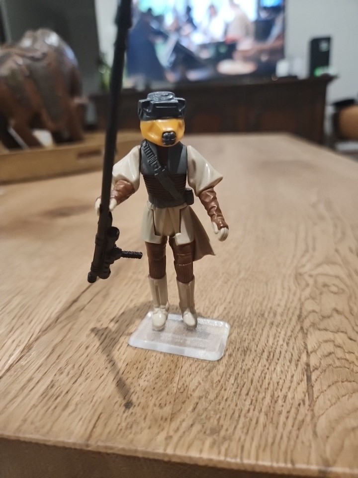 Princess Leia Organa (Boushh Disguise) sold