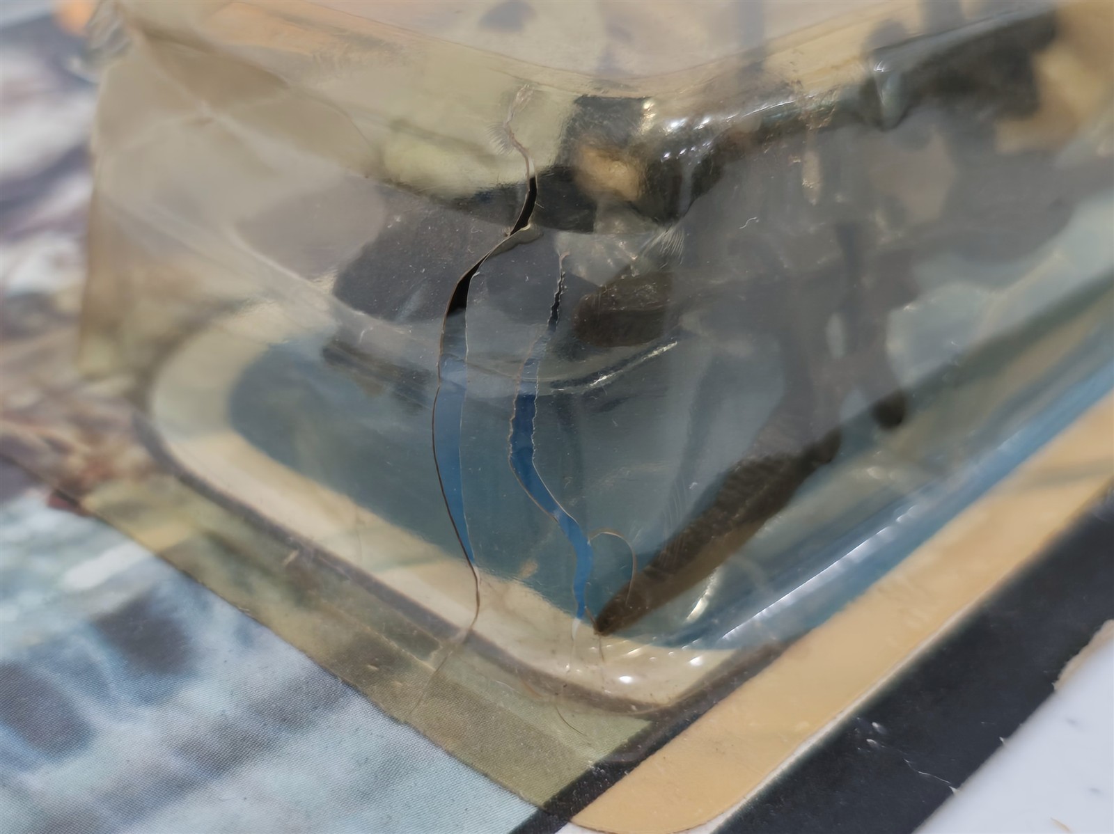 Logray (Ewok Medicine Man) sold