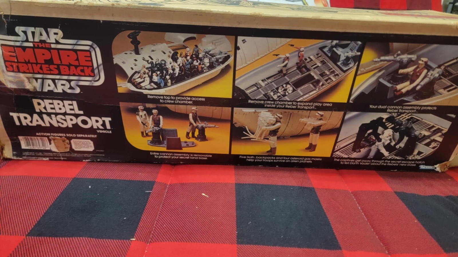 Rebel Transport sold