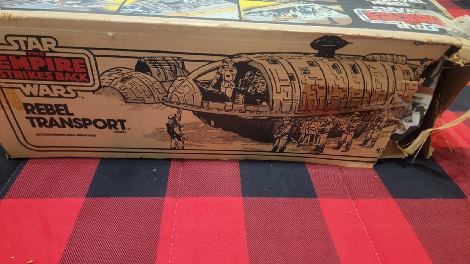 Rebel Transport sold