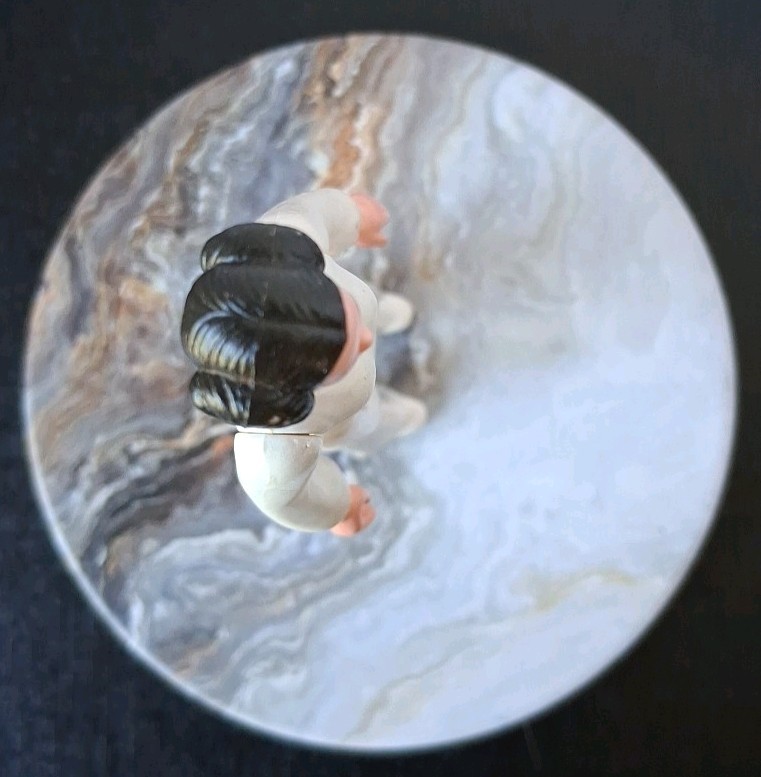 Princess Leia Organa sold