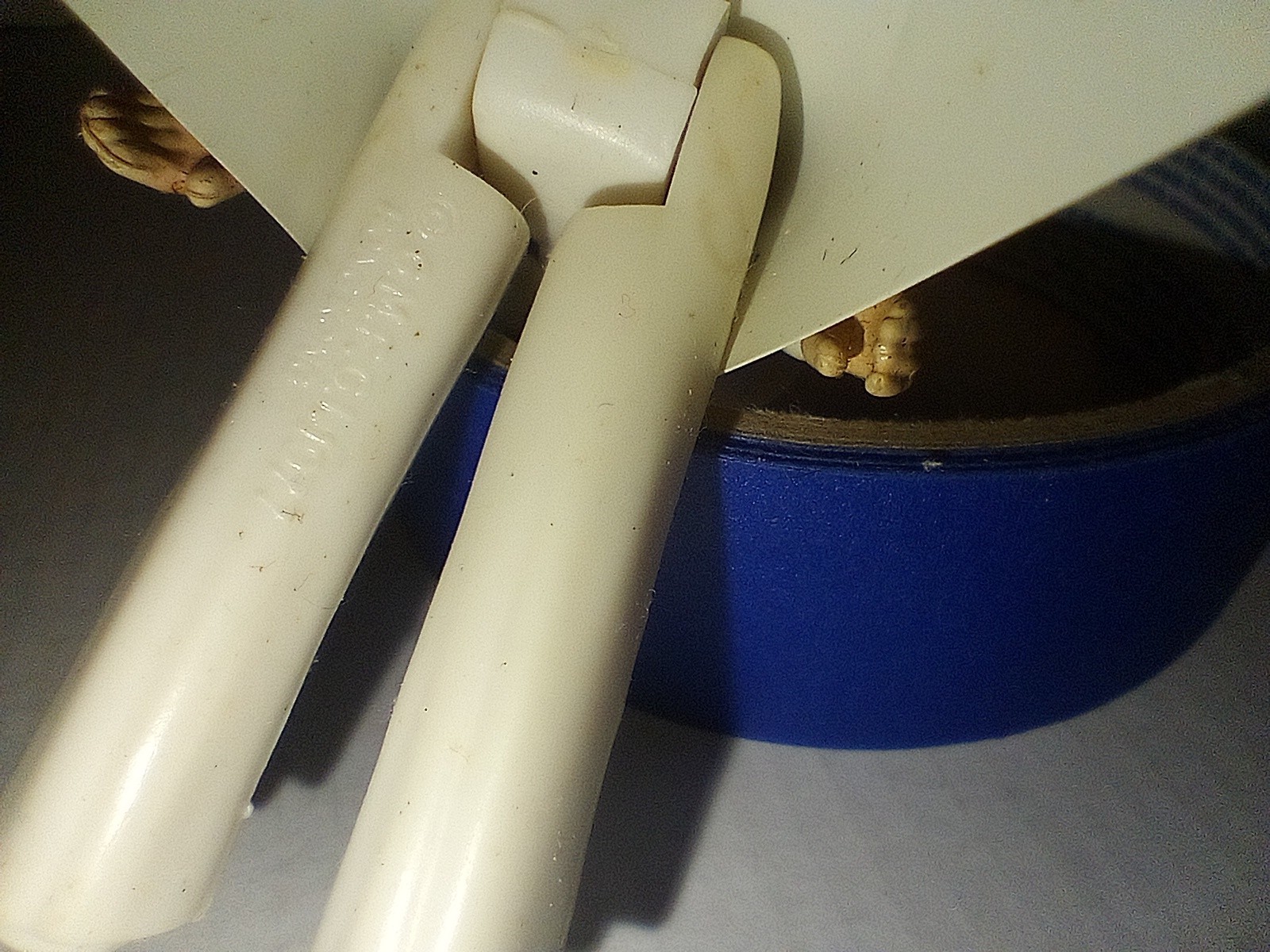 Princess Leia Organa sold