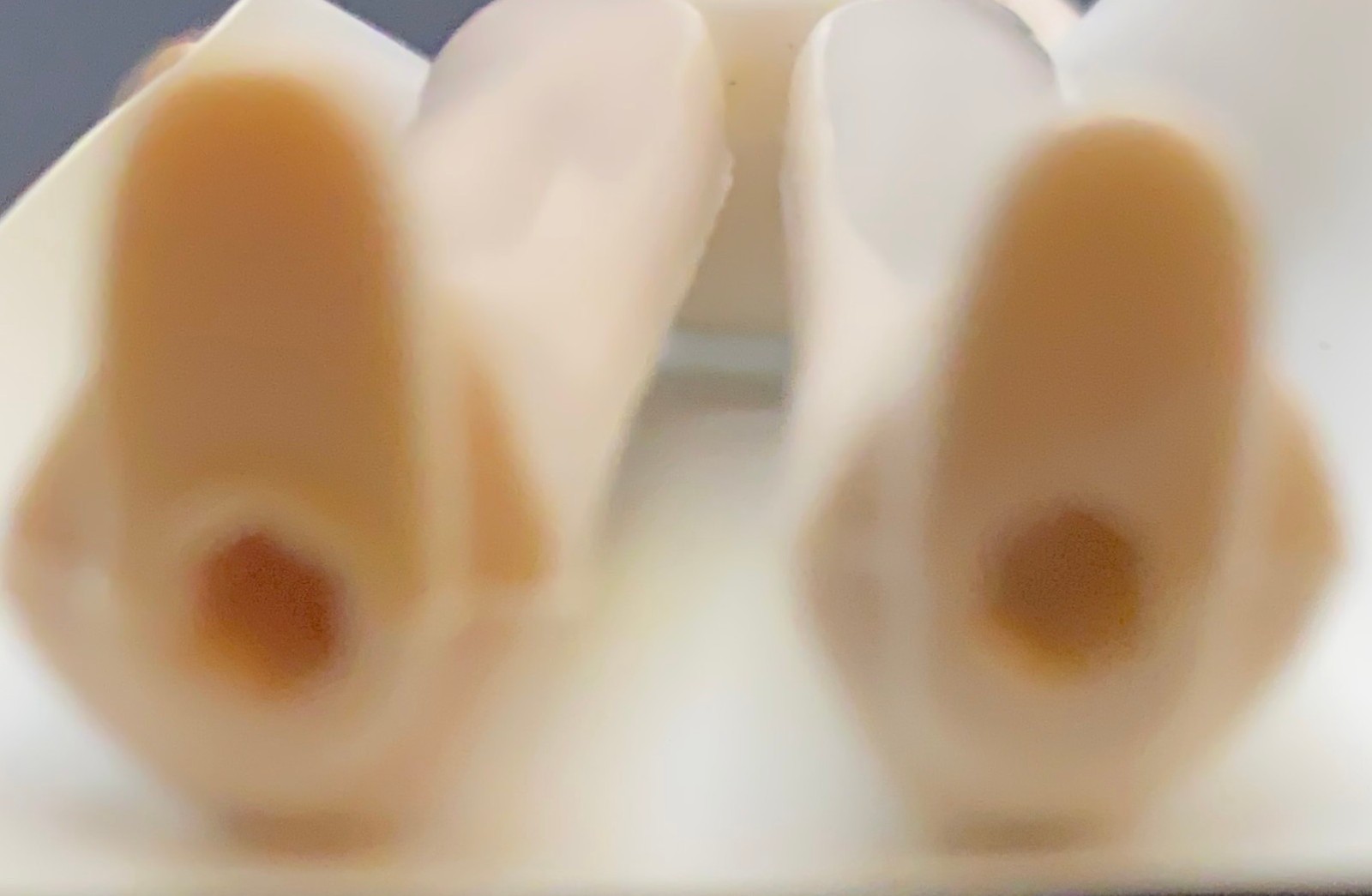 Princess Leia Organa sold