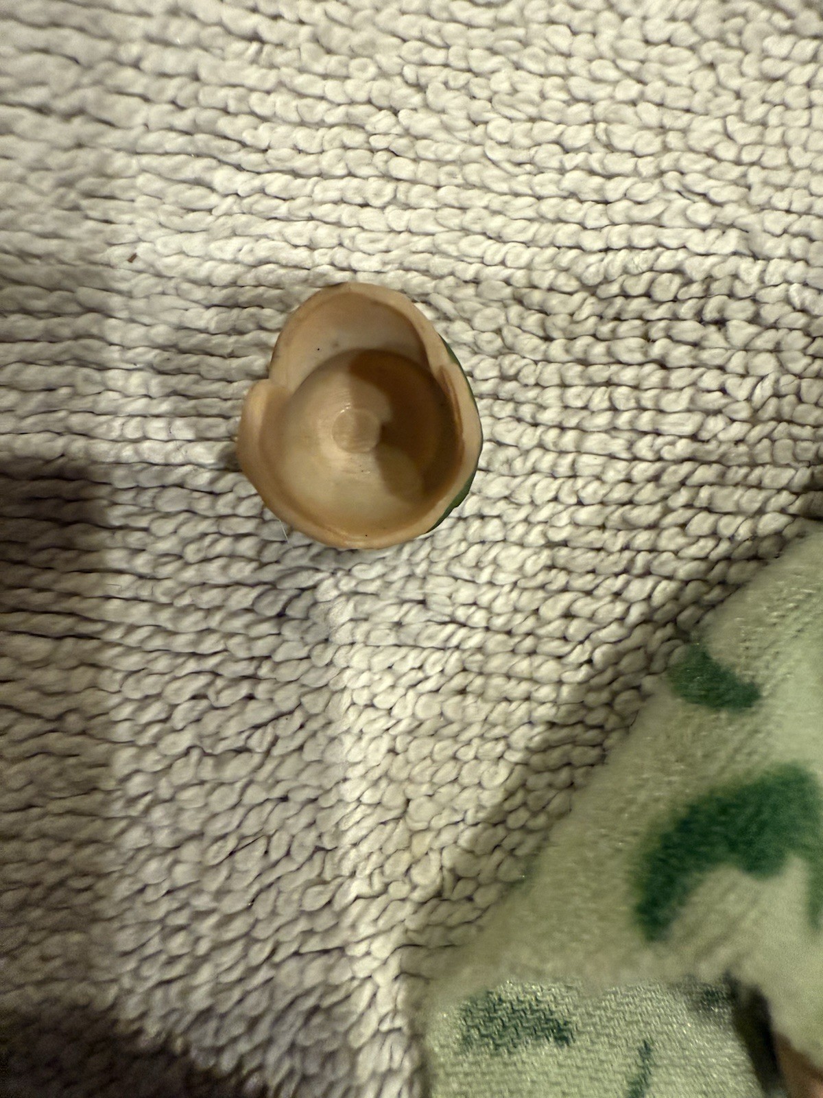 Princess Leia Organa (In Combat Poncho) sold