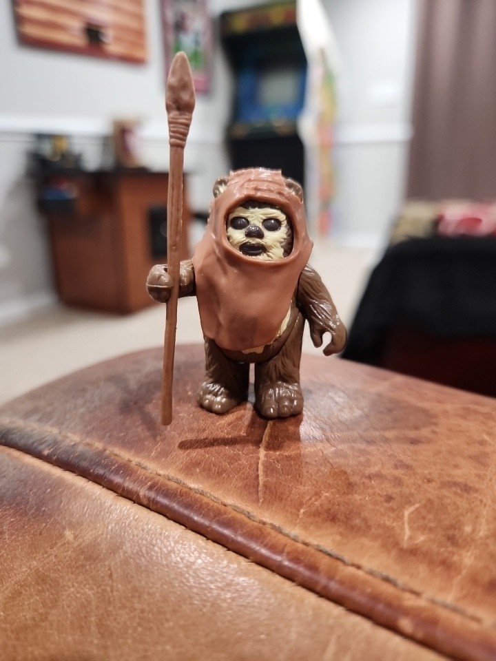 Wicket W. Warrick sold