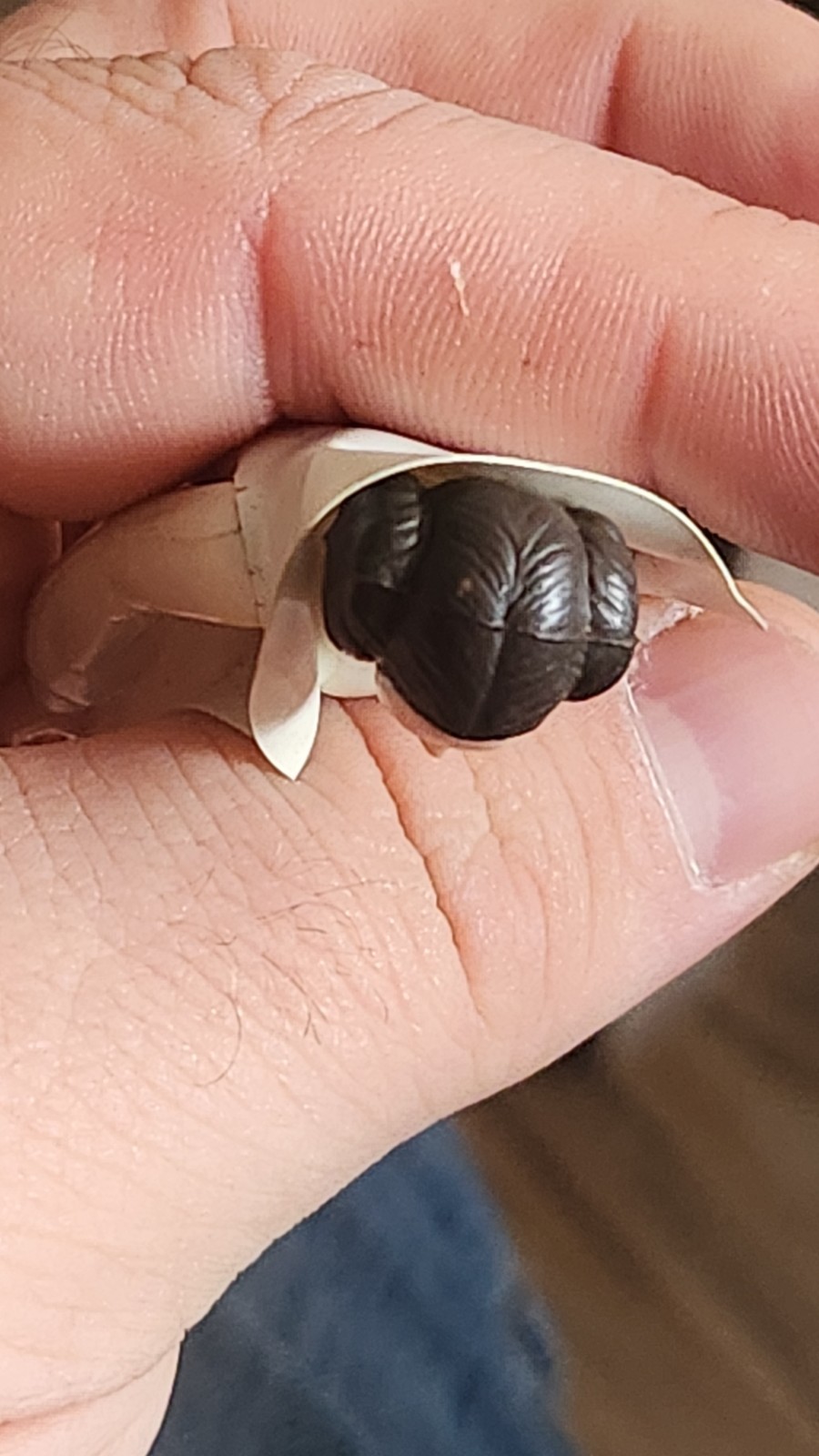 Princess Leia Organa sold