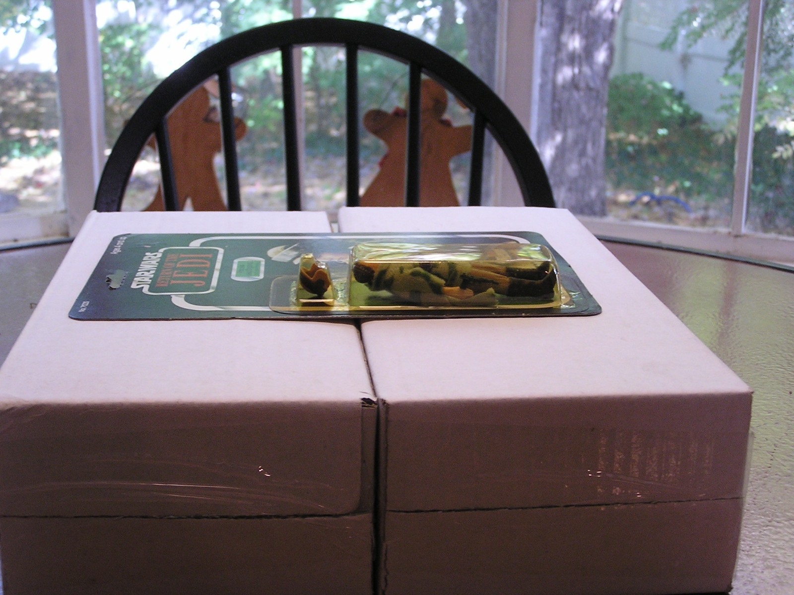 Princess Leia Organa (In Combat Poncho) sold