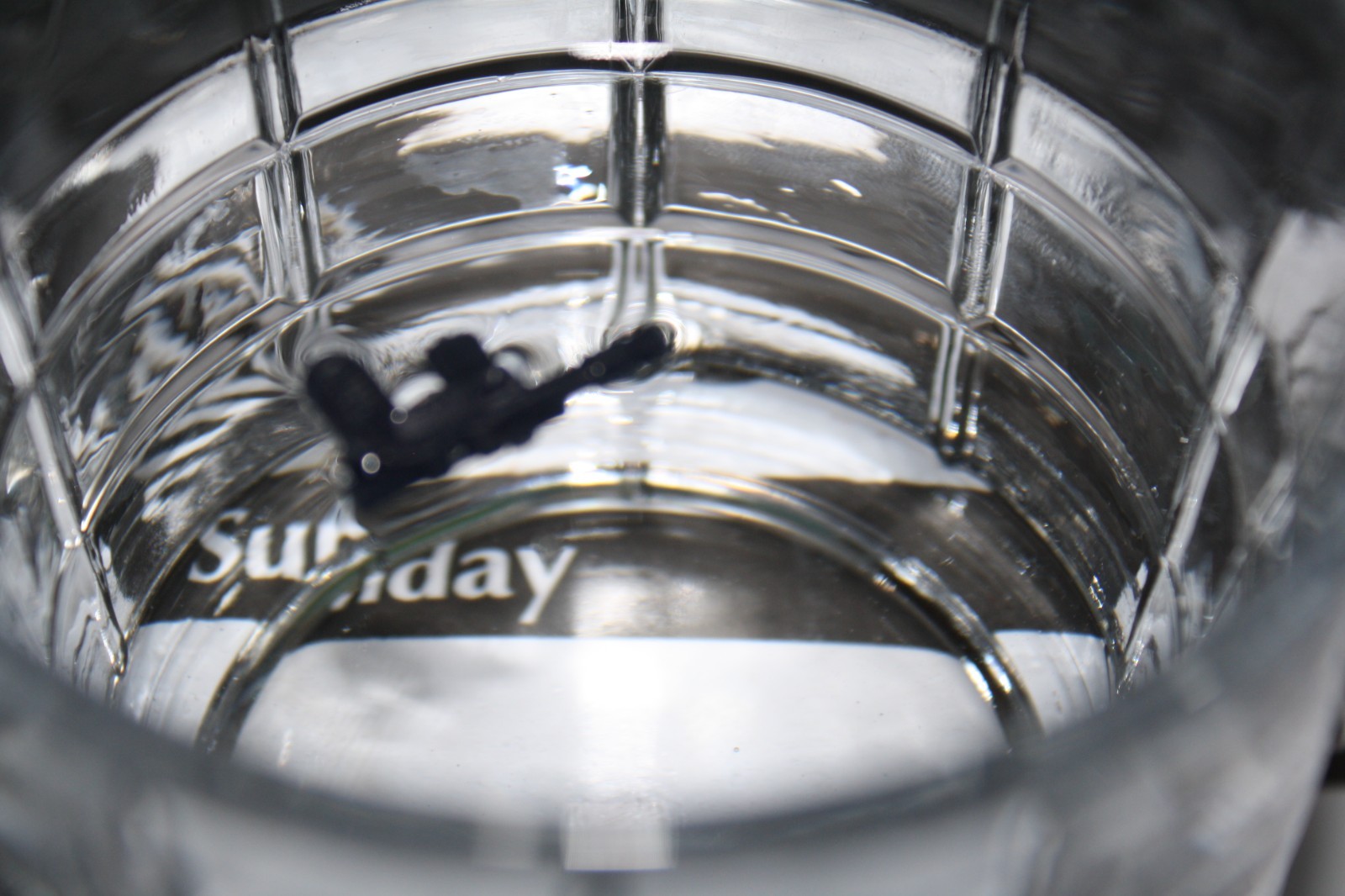 Blue Snaggletooth sold