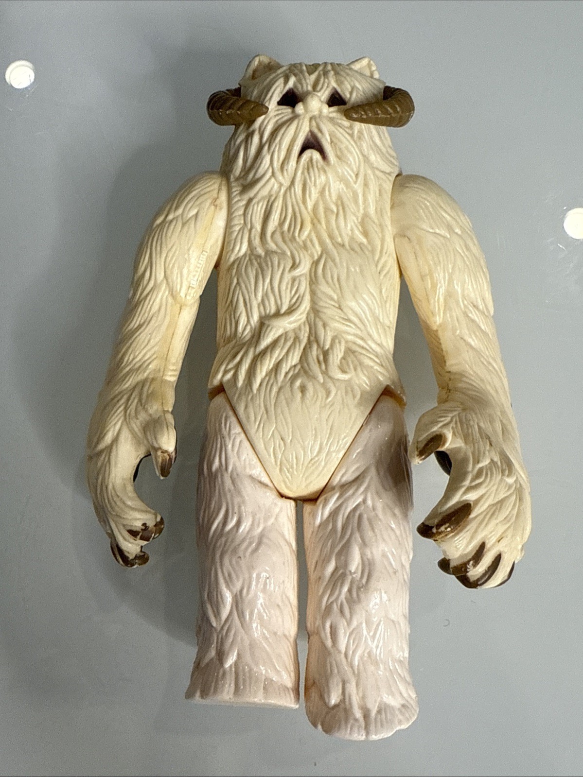 Wampa sold