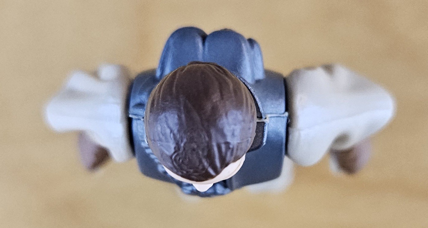 Princess Leia Organa (Boushh Disguise) sold