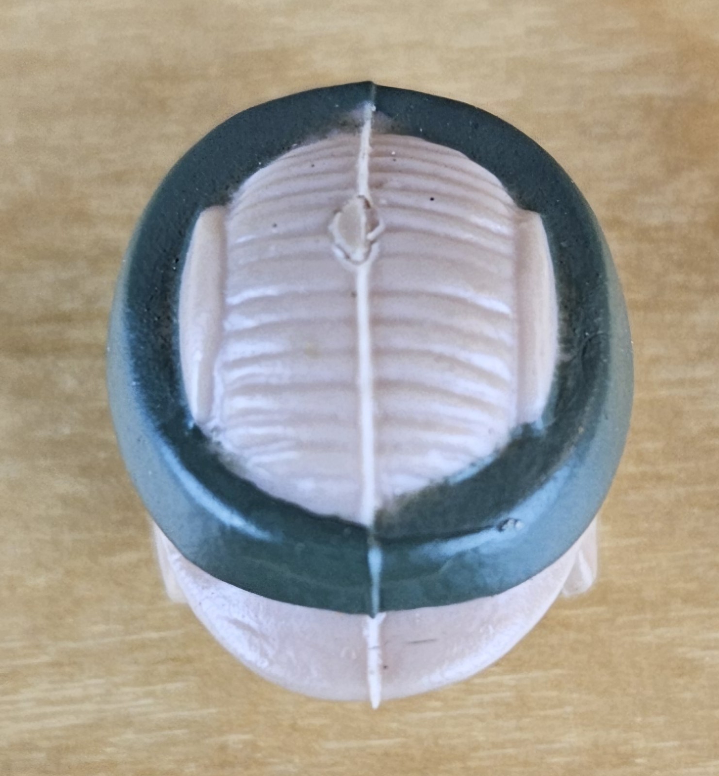 Princess Leia Organa (In Combat Poncho) sold