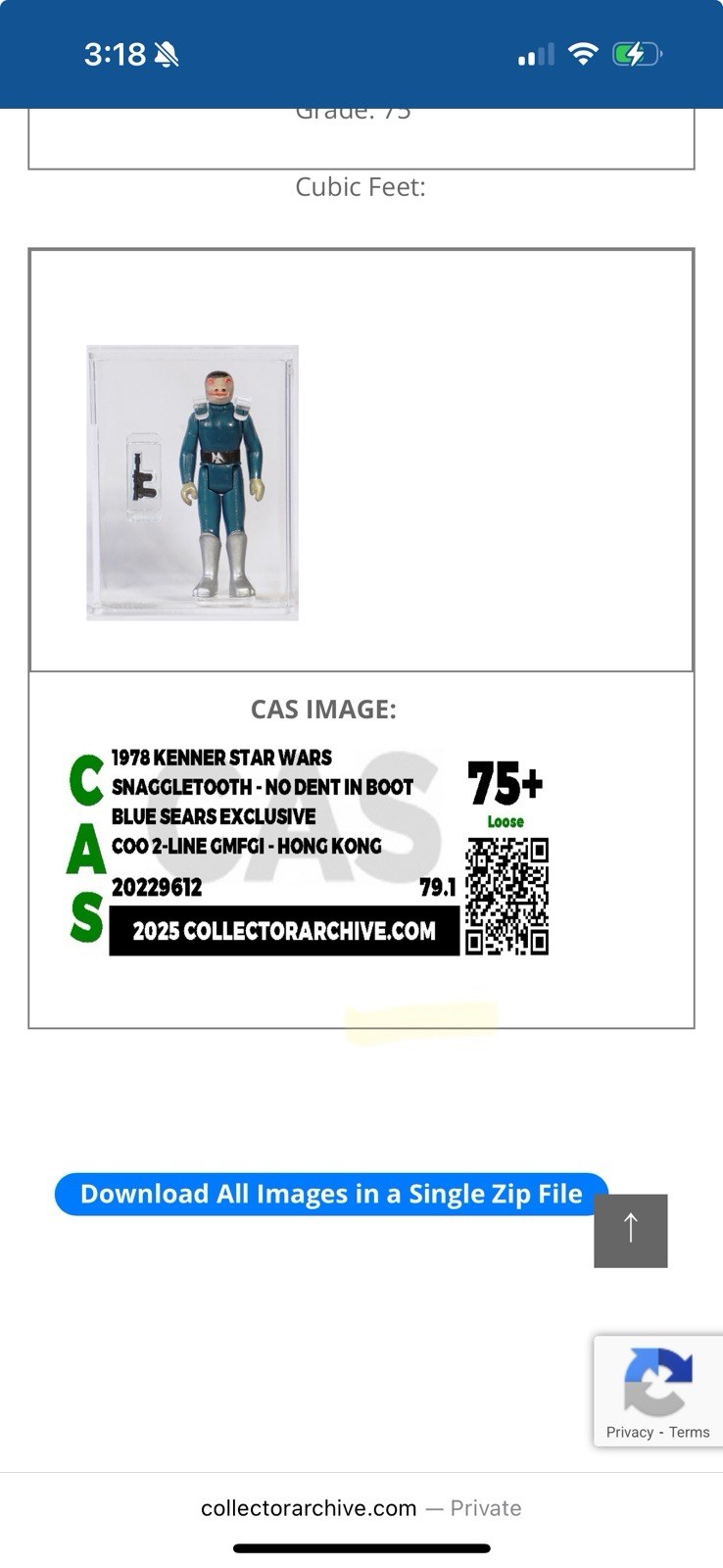 Blue Snaggletooth sold