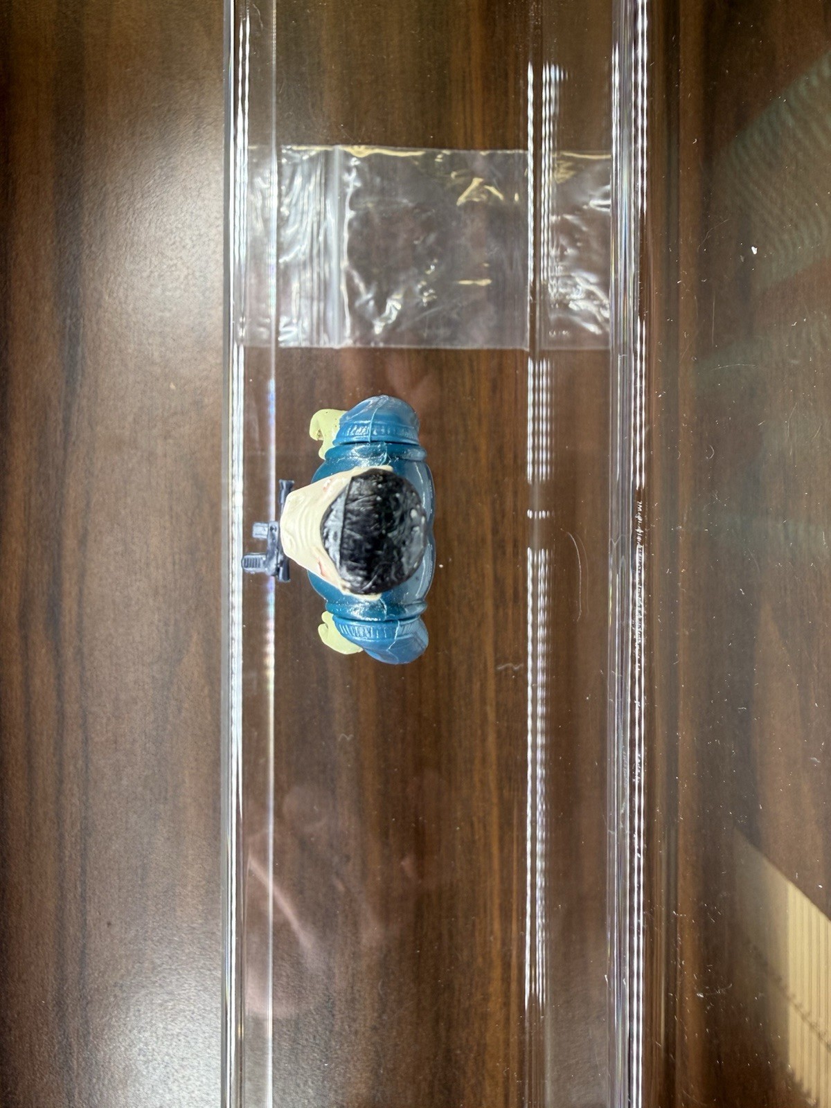 Blue Snaggletooth sold