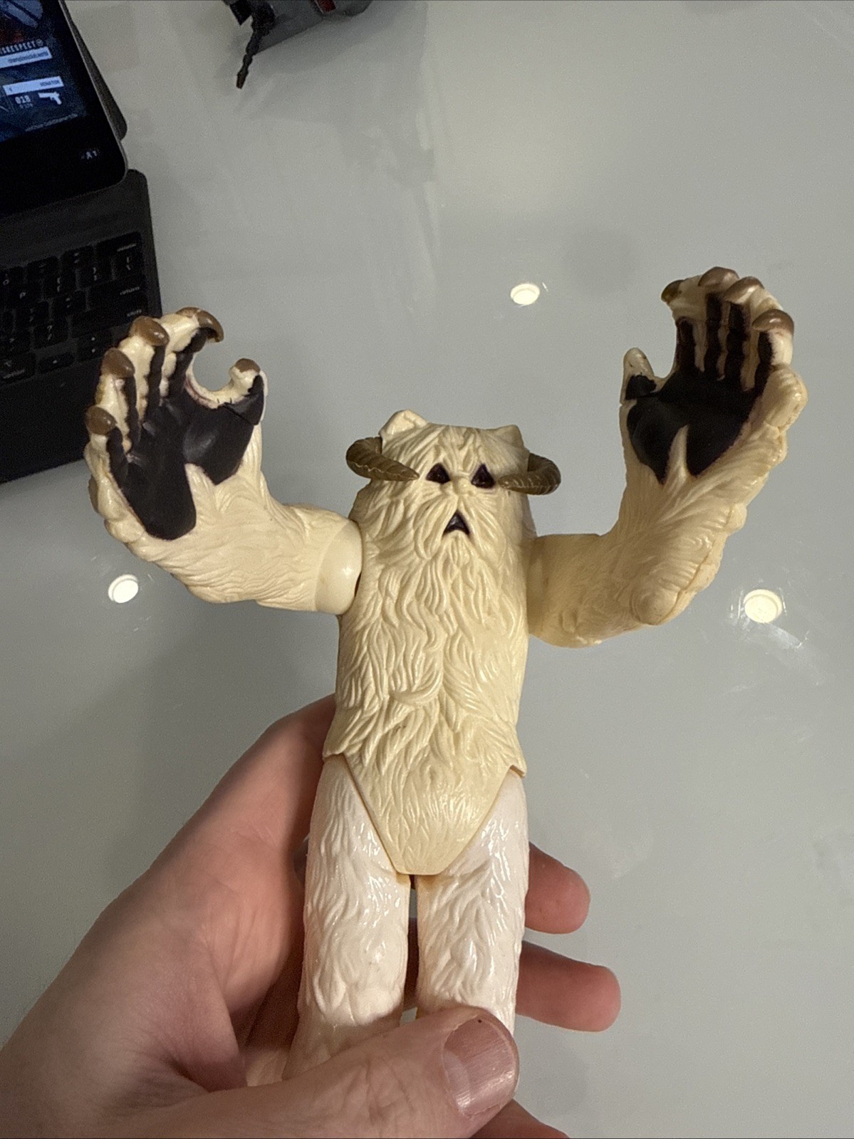 Wampa sold