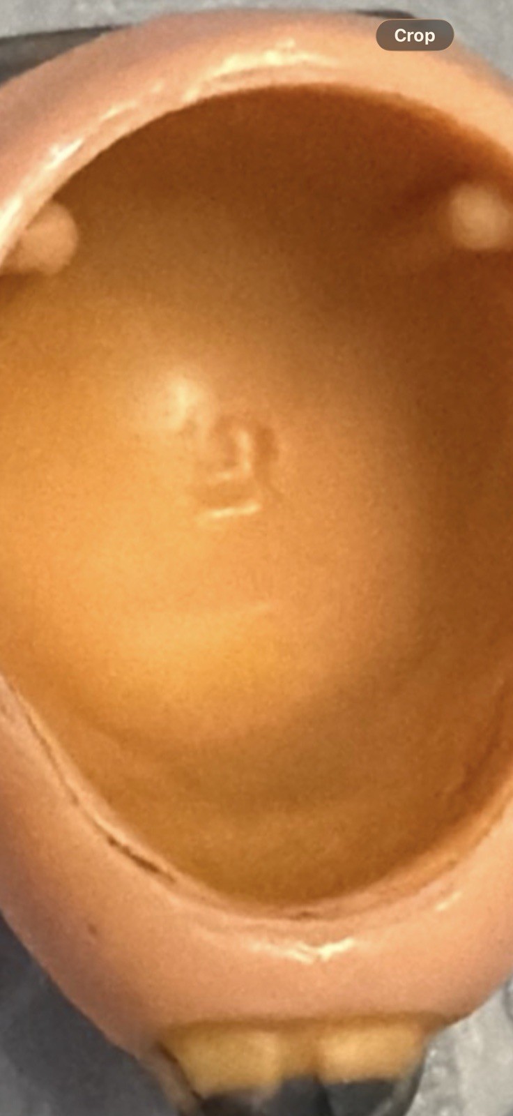 Princess Leia Organa (Boushh Disguise) sold