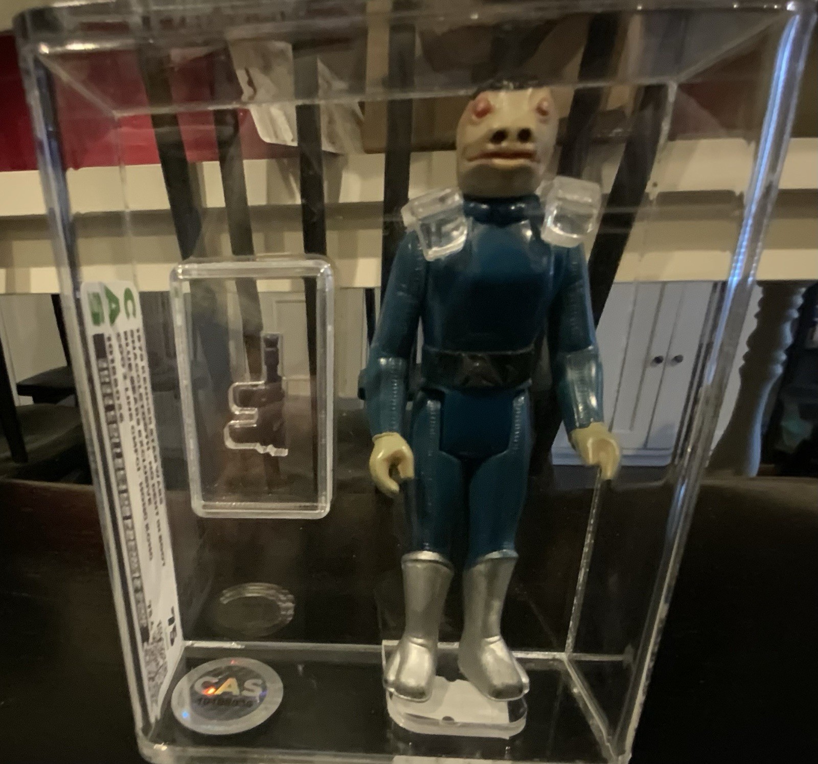 Blue Snaggletooth sold