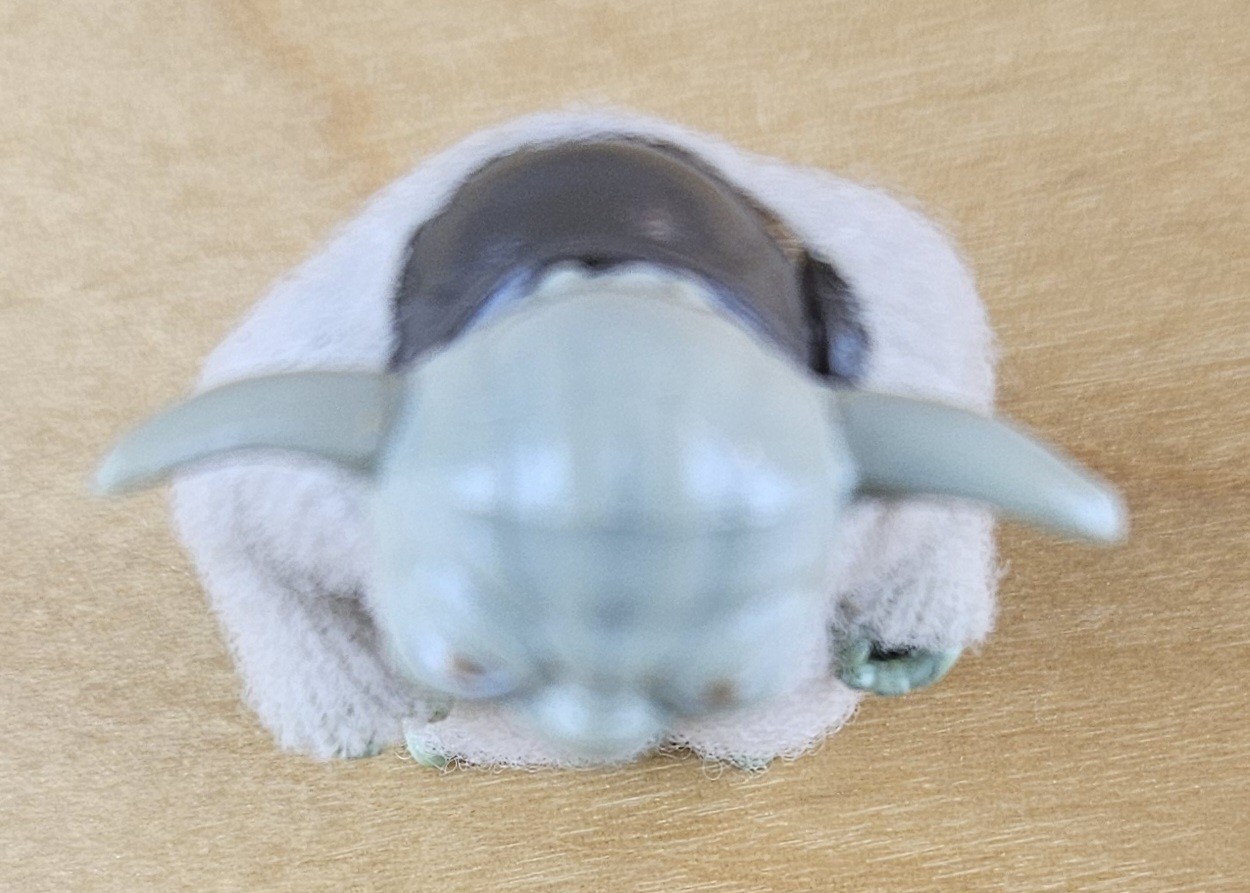 Yoda, The Jedi Master sold