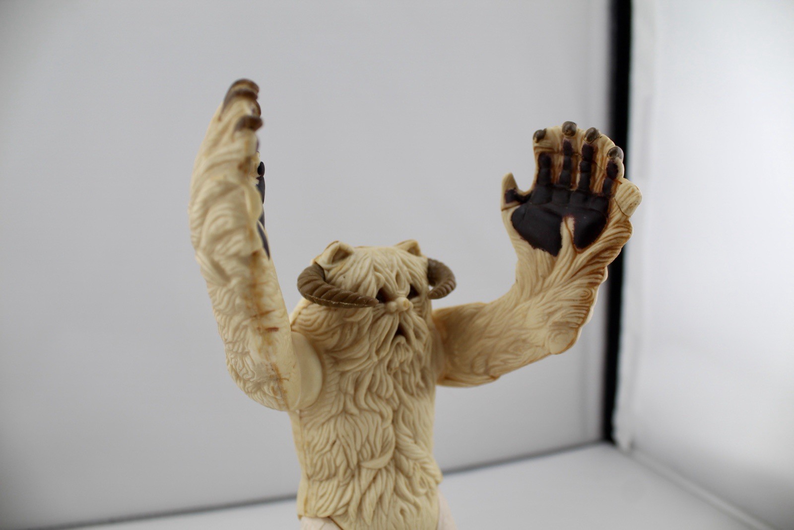 Wampa sold
