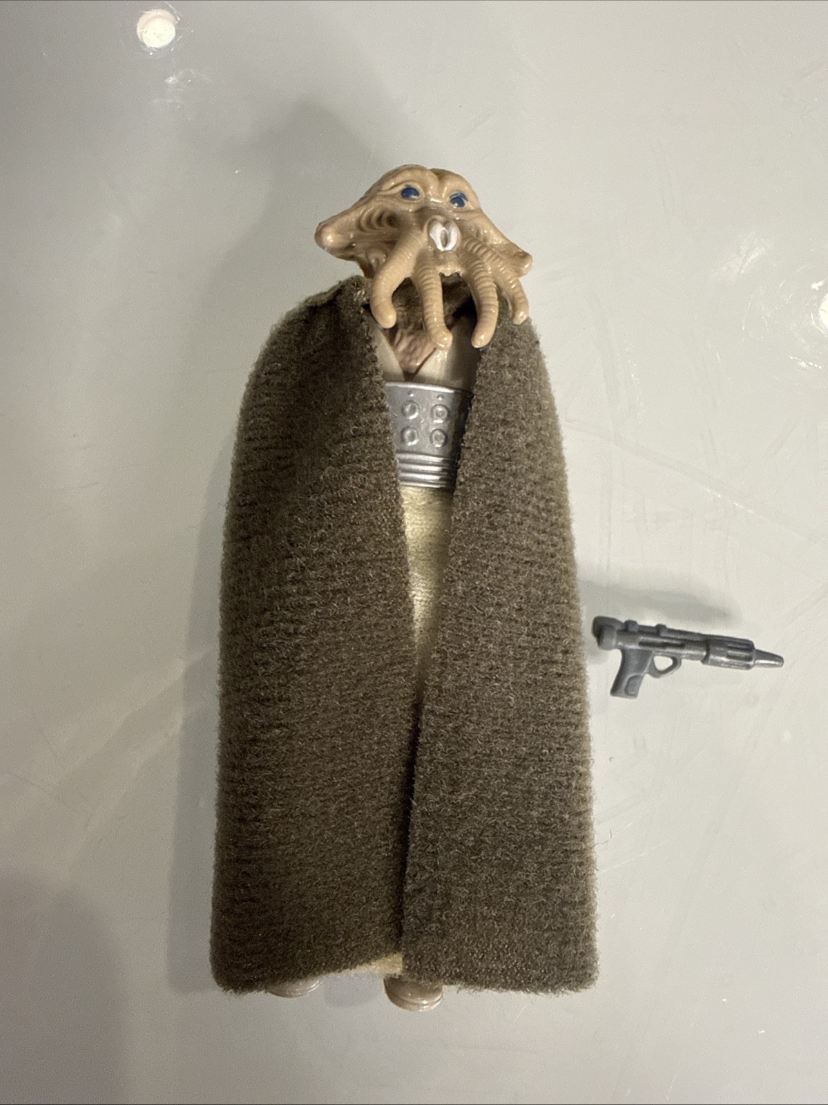 Squid Head sold