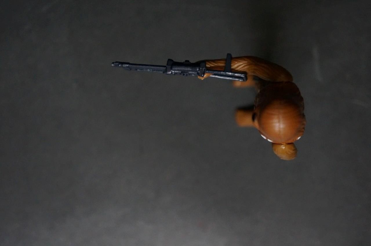 Chewbacca sold